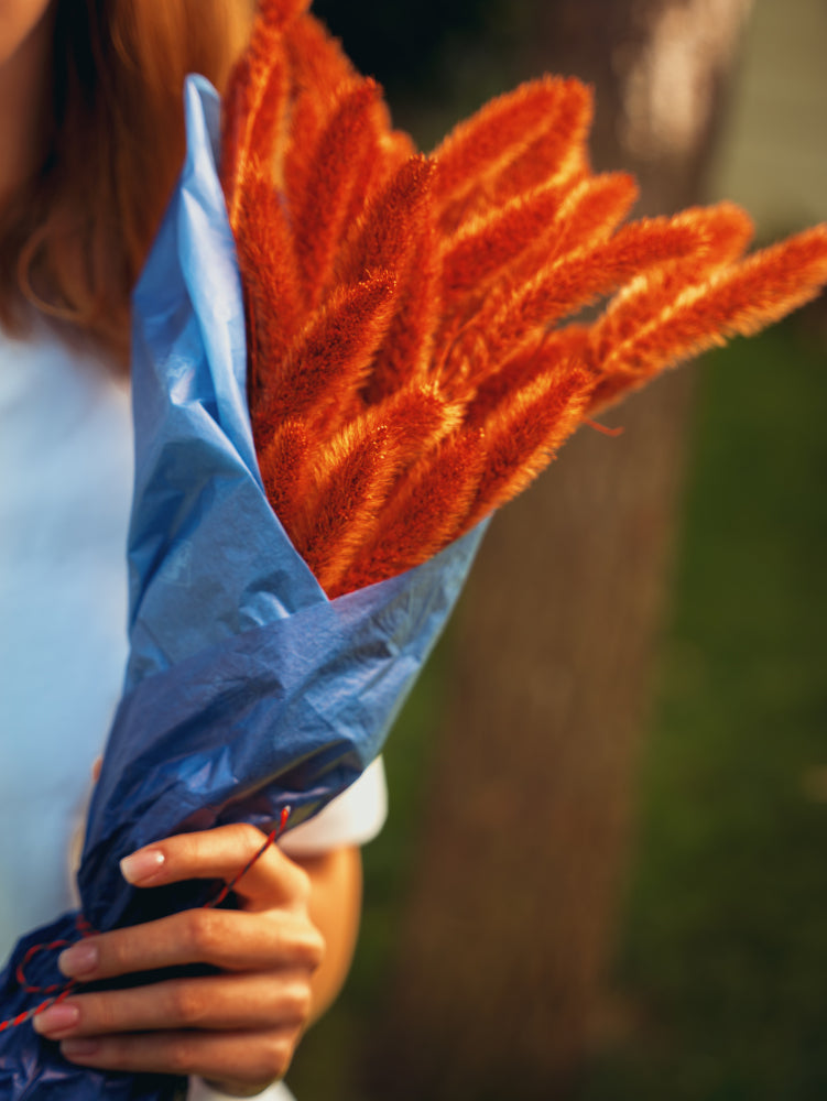 Papel de Seda de Colores | Impresión a 1 Color